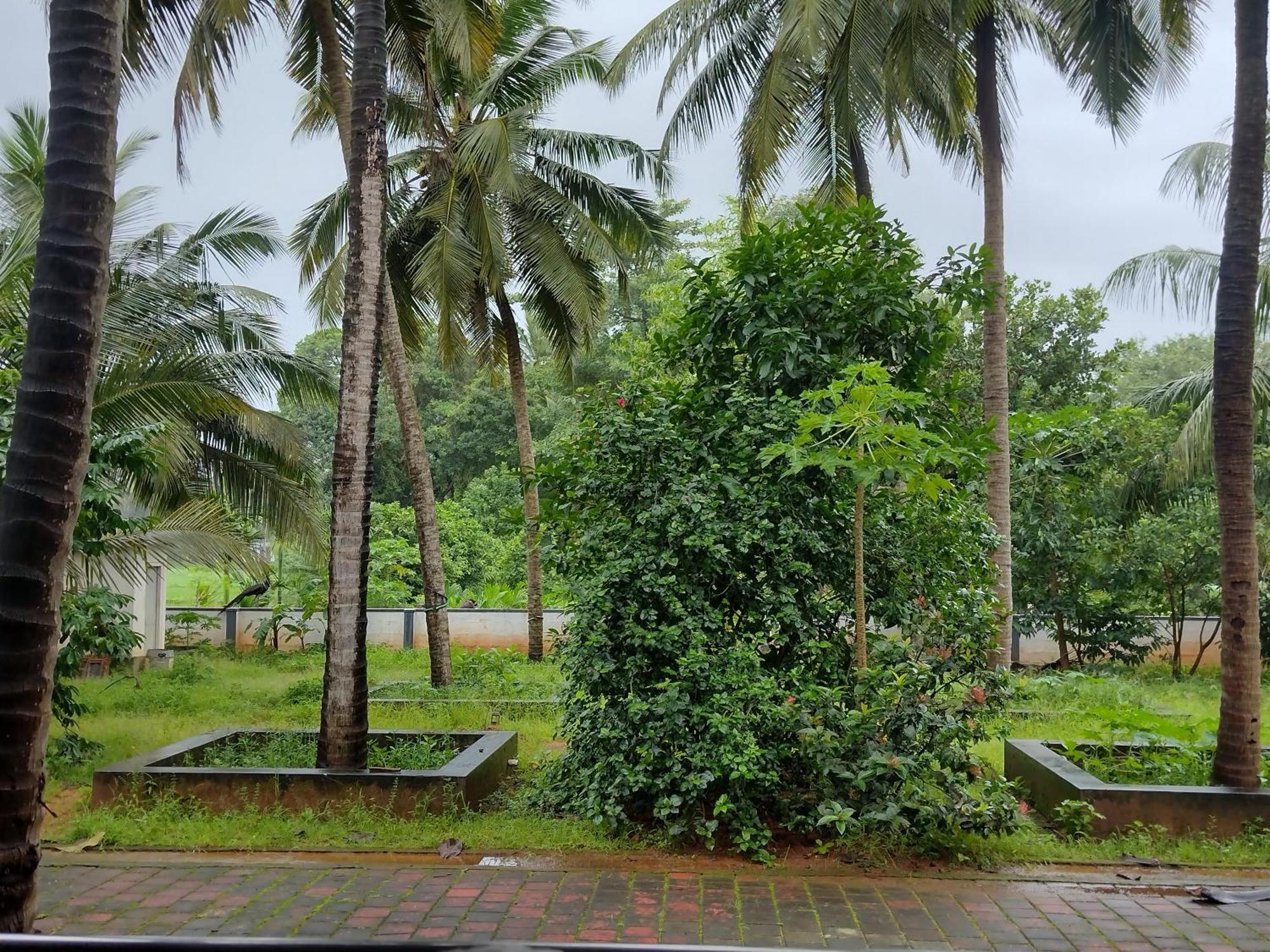 Jayadurga Farms - An Eco-Friendly Homestay Udupi Dış mekan fotoğraf